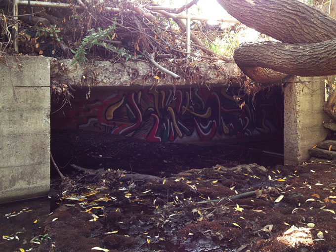 Codornices Creek